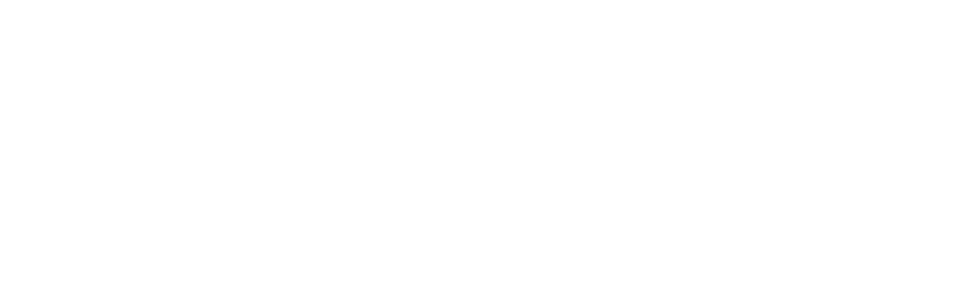 NexGen Circuits Logo